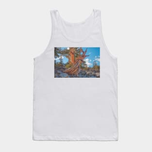 850_6879 Tank Top